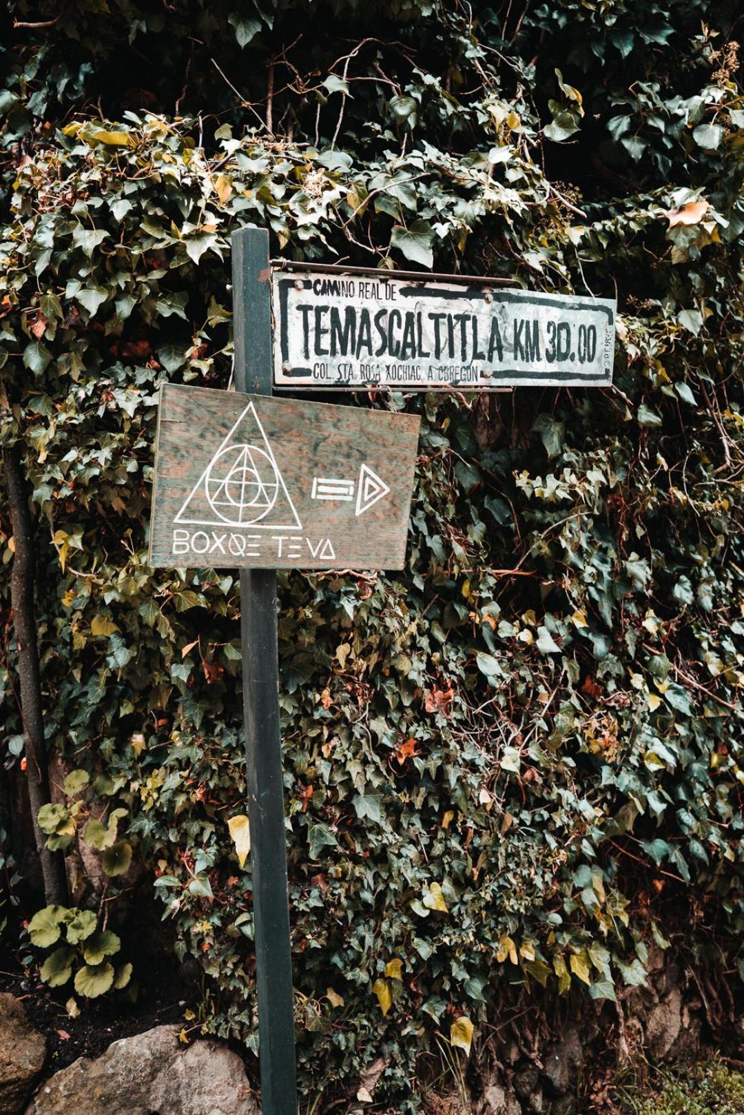 Boxque Teva Hotel Kota Meksiko Bagian luar foto