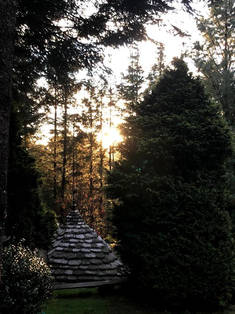 Boxque Teva Hotel Kota Meksiko Bagian luar foto