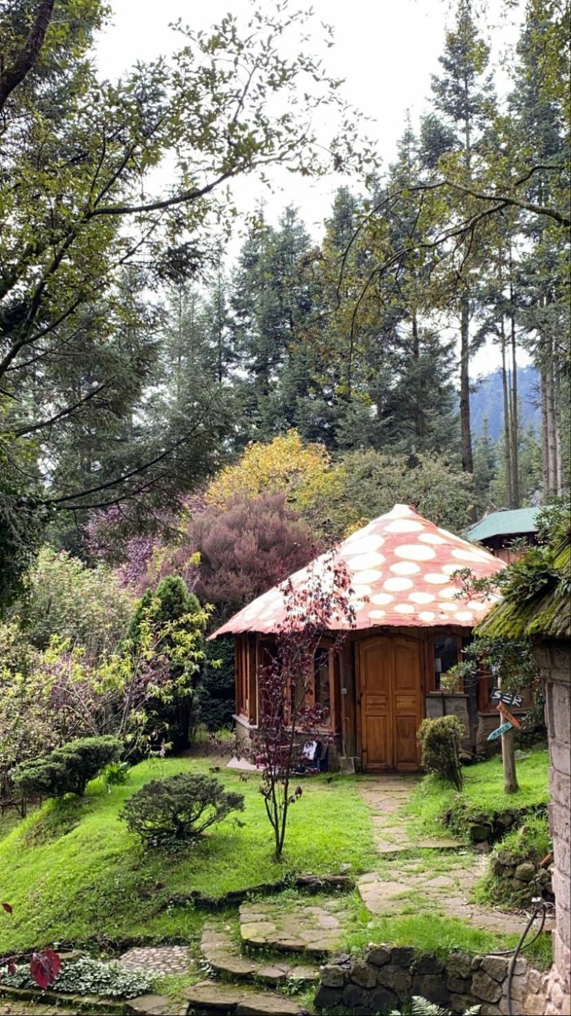 Boxque Teva Hotel Kota Meksiko Bagian luar foto