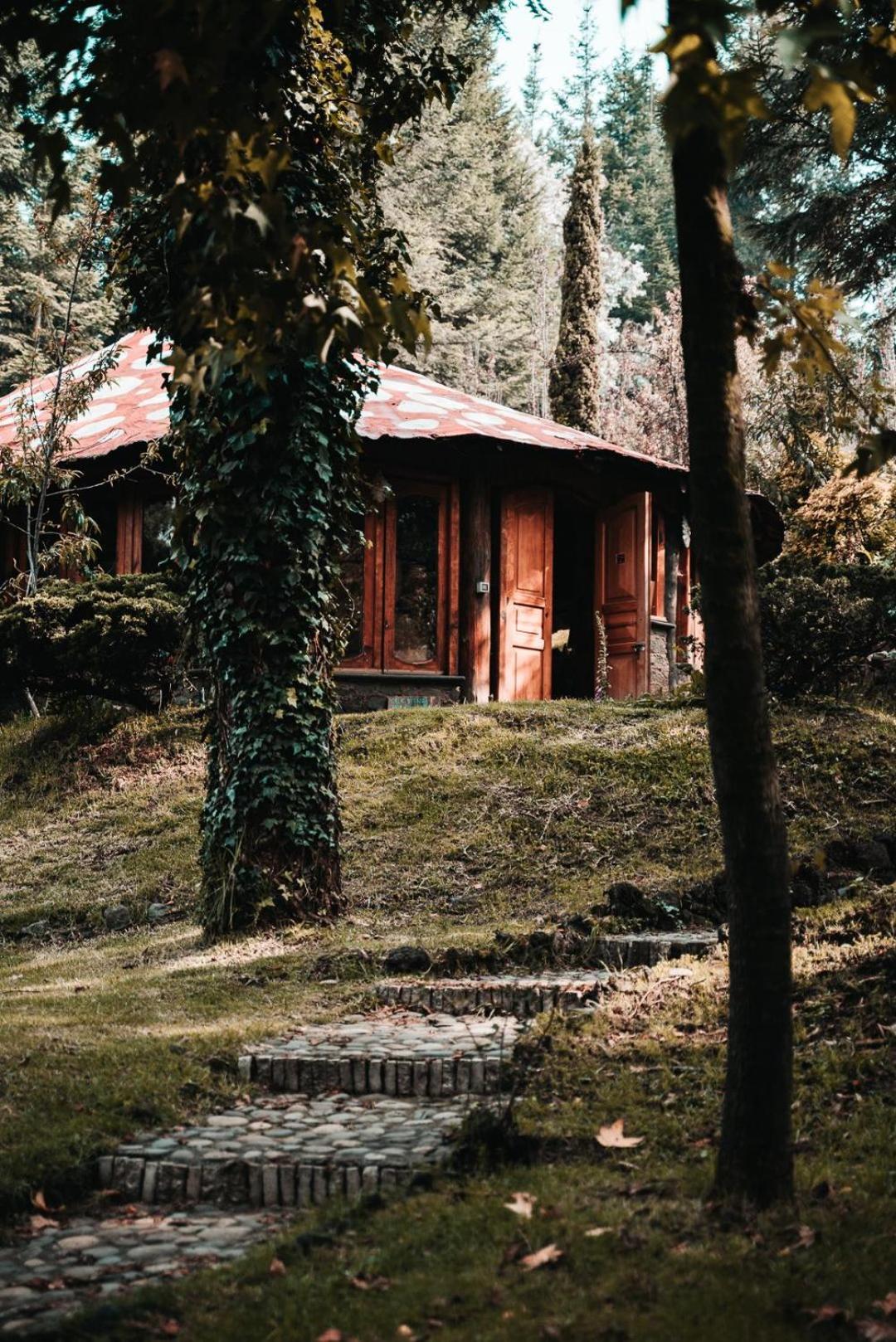Boxque Teva Hotel Kota Meksiko Bagian luar foto